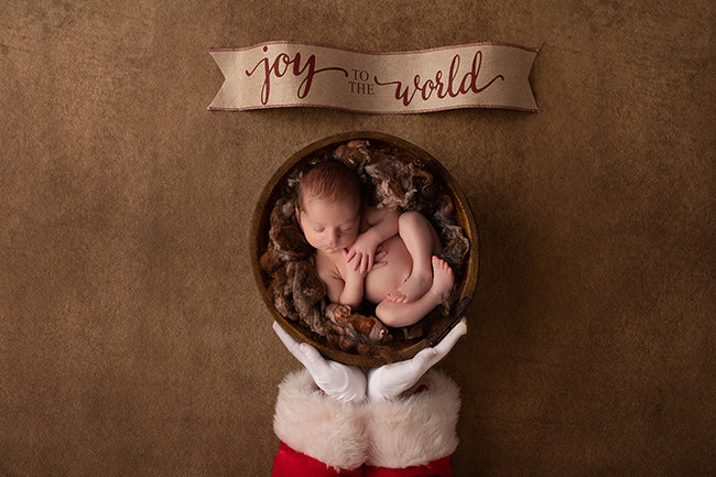 Santa Baby | Winter Woodland Coll. | Digital - HSD Photography Backdrops 