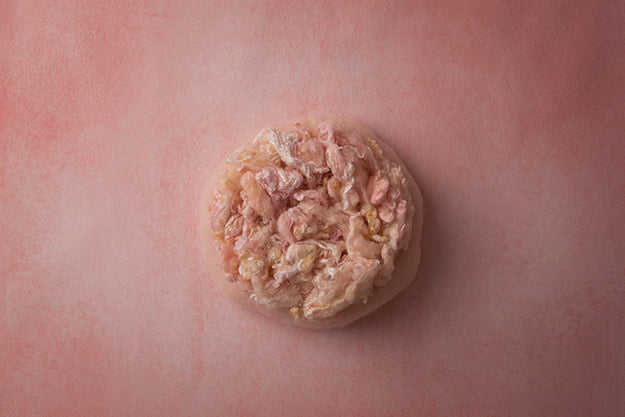 Pearl | Seashore Coll. | Digital - HSD Photography Backdrops