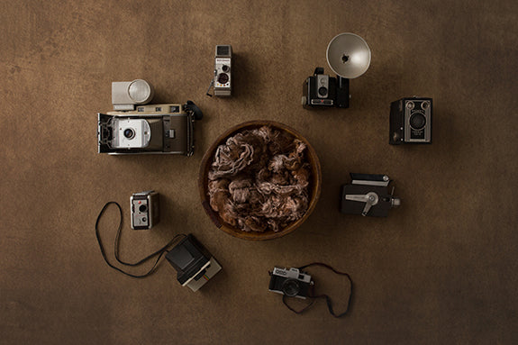 Shutterbug | Shutterbug Coll. | Digital - HSD Photography Backdrops