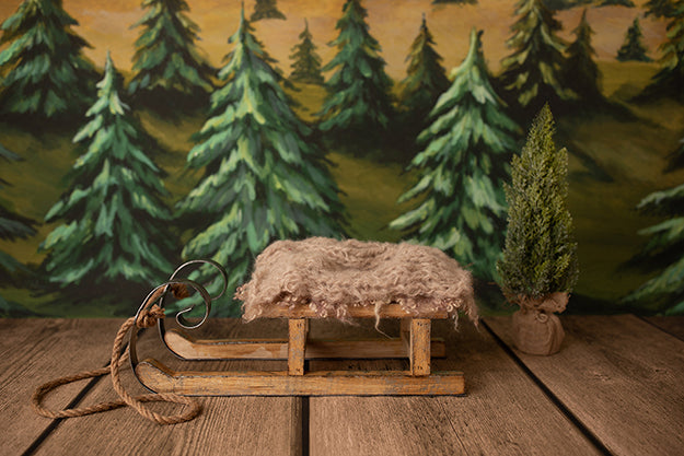 Sleigh Ride | Lumberjack Coll. | Digital - HSD Photography Backdrops