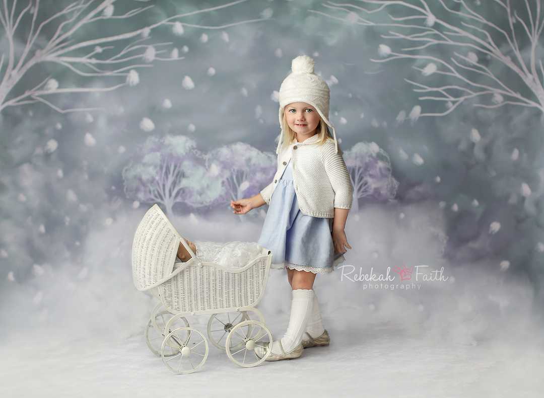 Snowly Walking Winter Scene - HSD Photography Backdrops