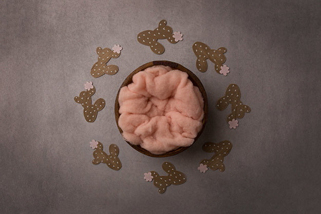 Stuck On You Collection | Digital - HSD Photography Backdrops