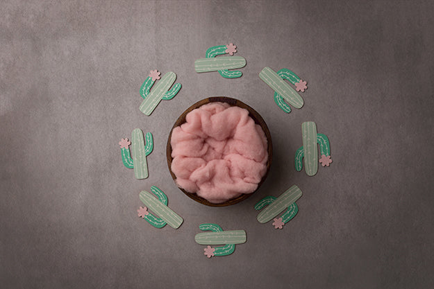 Desert Blush | Stuck On You Coll. | Digital - HSD Photography Backdrops