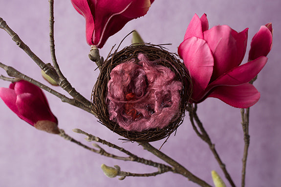 Sugar Plum Collection | Digital - HSD Photography Backdrops