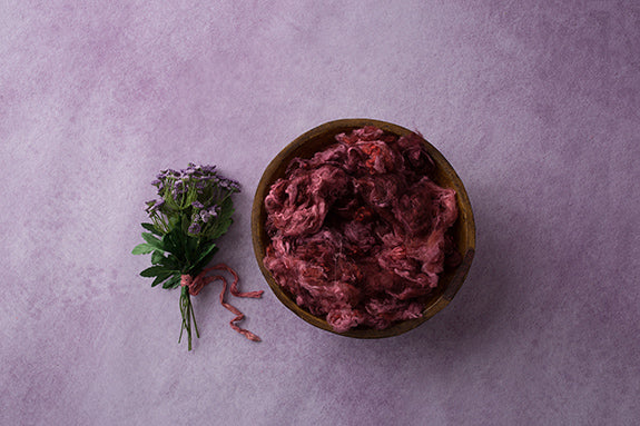 Sugar Plum Collection | Digital - HSD Photography Backdrops