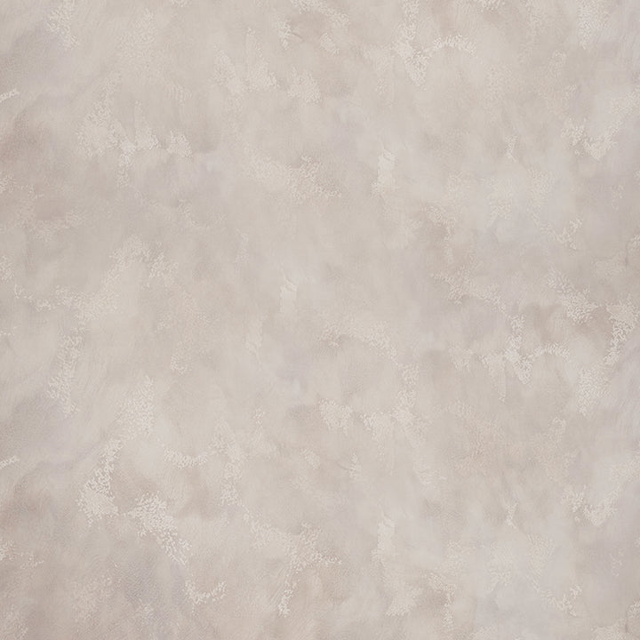 Mourning Dove - HSD Photography Backdrops