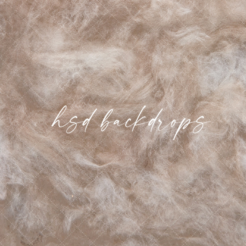 Venice - HSD Photography Backdrops