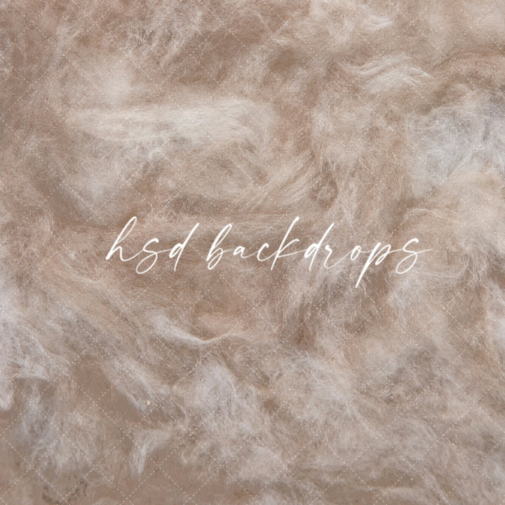 Venice - HSD Photography Backdrops