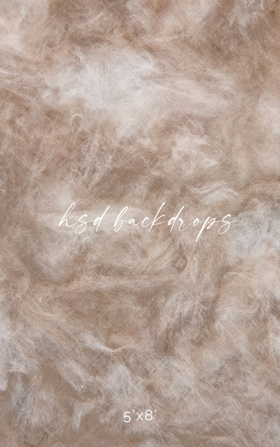 Venice - HSD Photography Backdrops