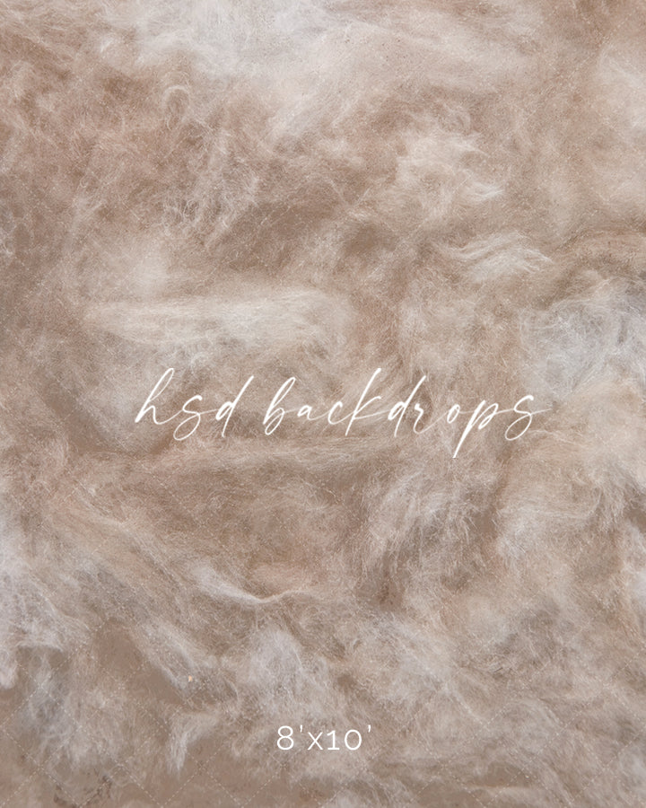 Venice - HSD Photography Backdrops