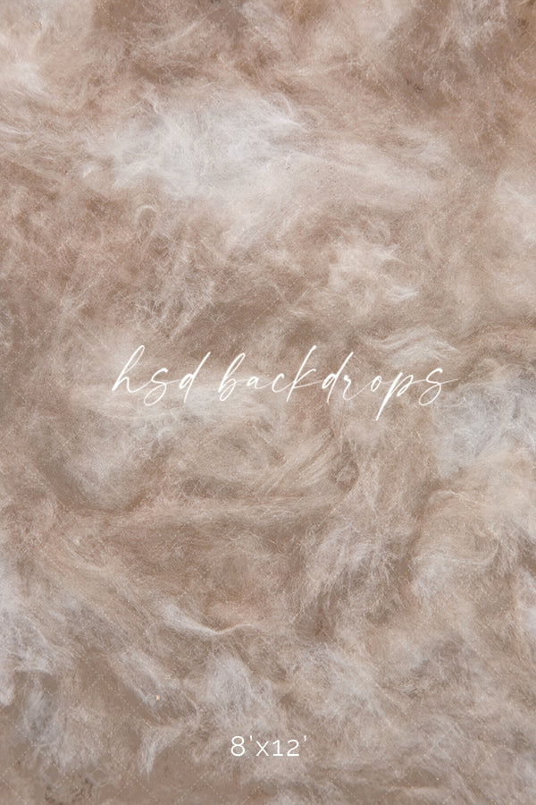 Venice - HSD Photography Backdrops