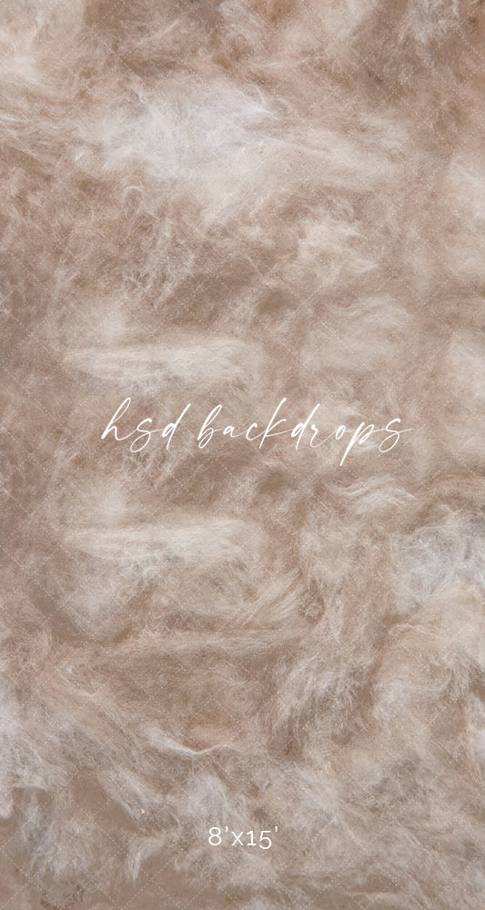 Venice - HSD Photography Backdrops