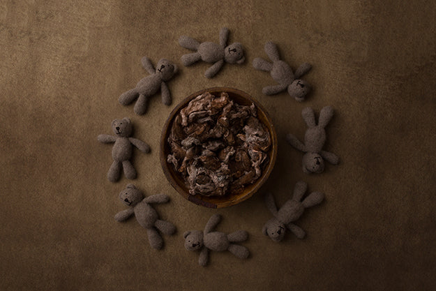 Teddybears Collection | Digital - HSD Photography Backdrops