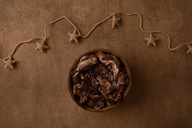 Twine Stars I | Winter Woodland Coll. | Digital - HSD Photography Backdrops