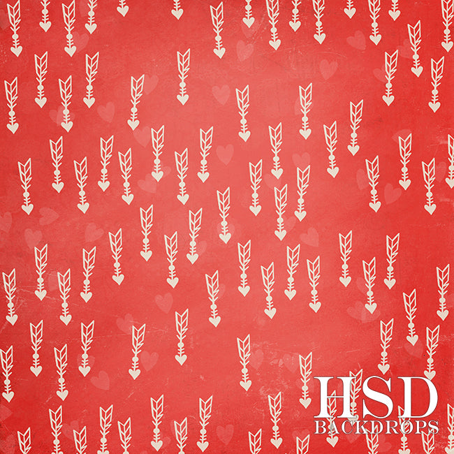 Crazy for You - HSD Photography Backdrops