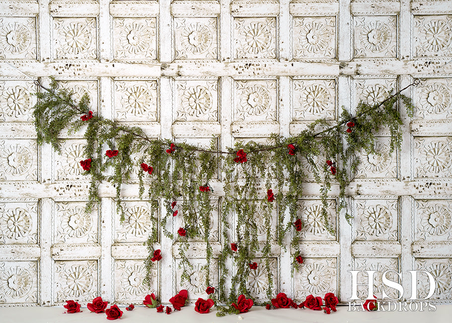 Vigne Rouge - HSD Photography Backdrops