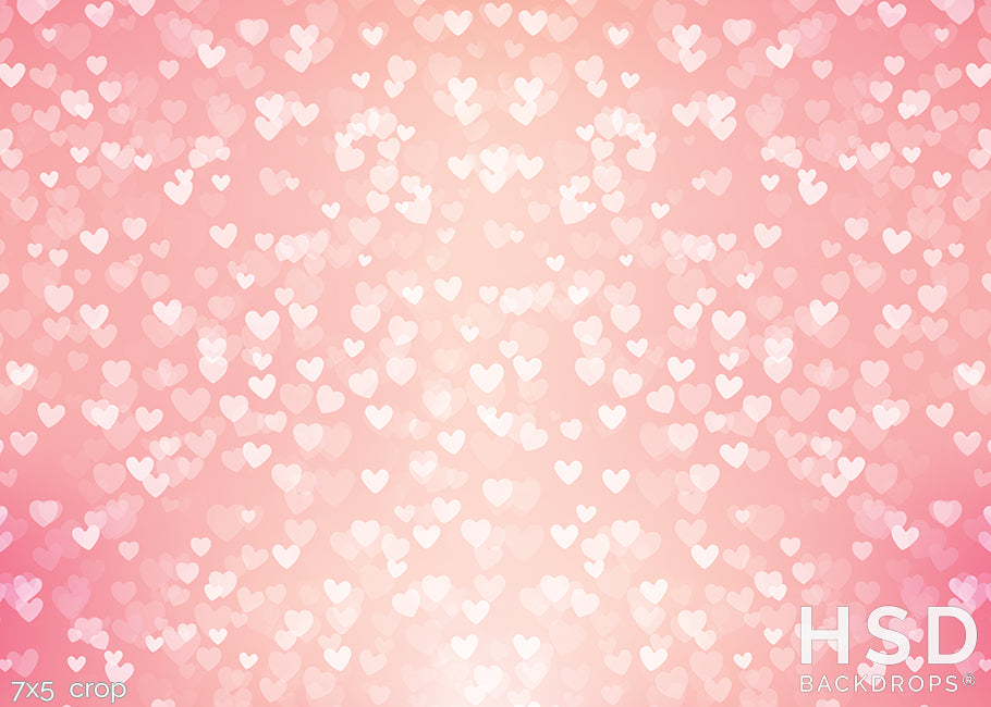 Love is in the Air - HSD Photography Backdrops
