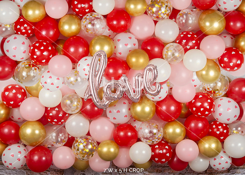 Love Balloon Wall - HSD Photography Backdrops
