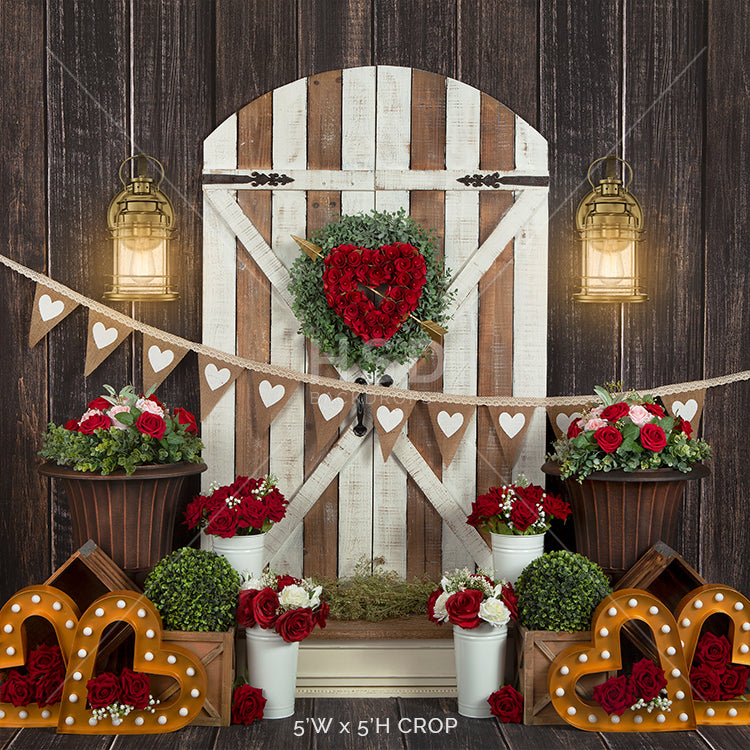 Valentine's Day Door - HSD Photography Backdrops