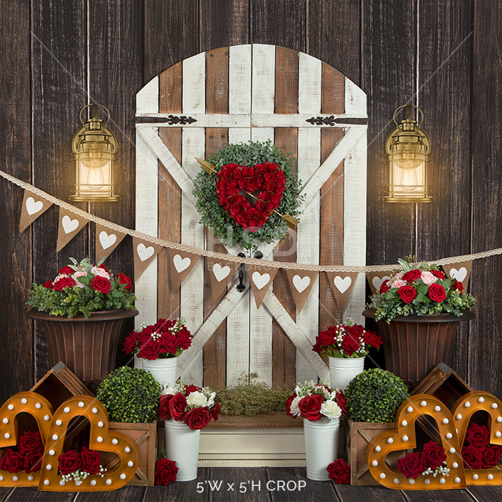Valentine's Day Door - HSD Photography Backdrops
