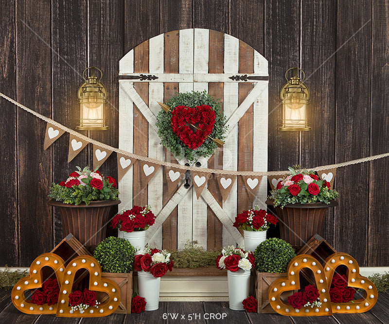Valentine's Day Door - HSD Photography Backdrops