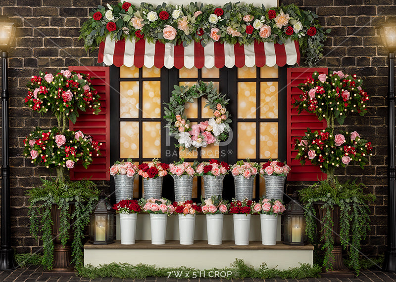 Valentine's Day Window - HSD Photography Backdrops