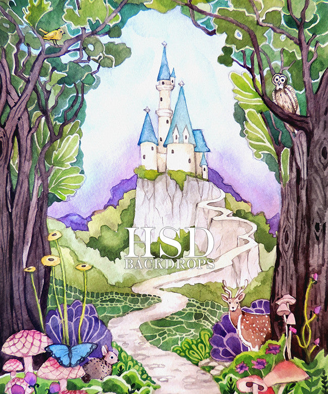 Enchanted Castle - HSD Photography Backdrops