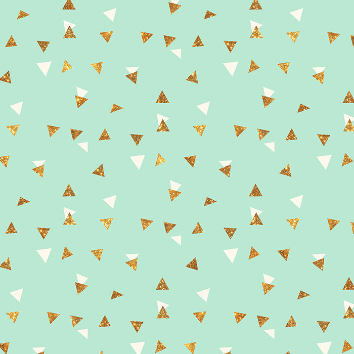 Triangle Celebration - HSD Photography Backdrops