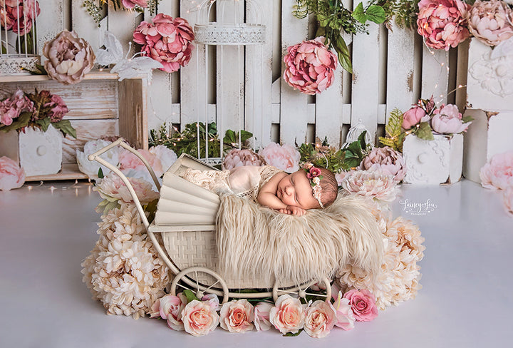 Butterflies & Blooms - HSD Photography Backdrops