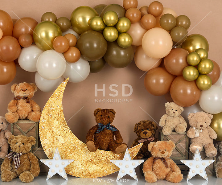 Teddy Bear Balloons - HSD Photography Backdrops
