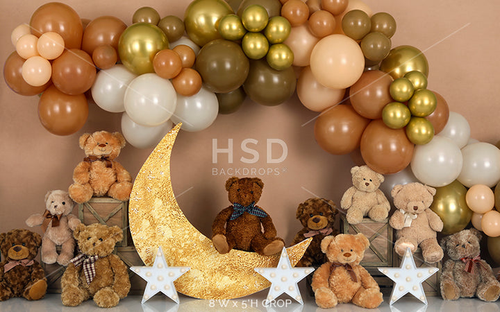 Teddy Bear Balloons - HSD Photography Backdrops