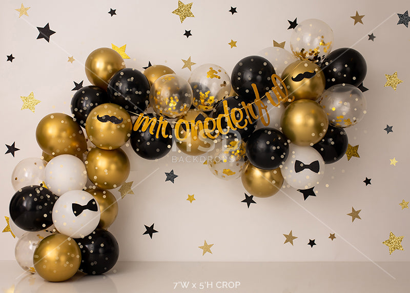 Mr Onederful - HSD Photography Backdrops