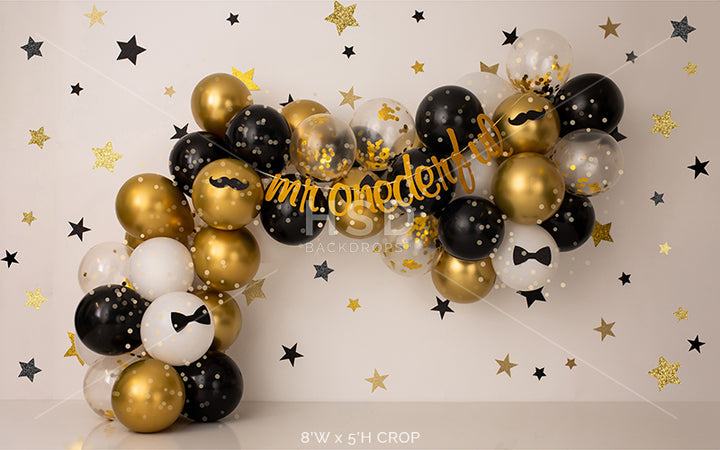 Mr Onederful - HSD Photography Backdrops
