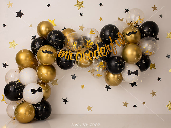 Mr Onederful - HSD Photography Backdrops