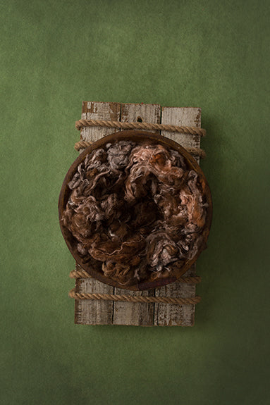 Primitive | Willow Coll. | Digital - HSD Photography Backdrops