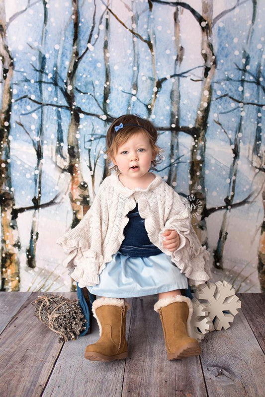 Winter | Winter Landscape - HSD Photography Backdrops