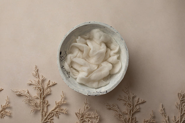 Winter Coral | Winter Under the Sea Coll. | Digital - HSD Photography Backdrops