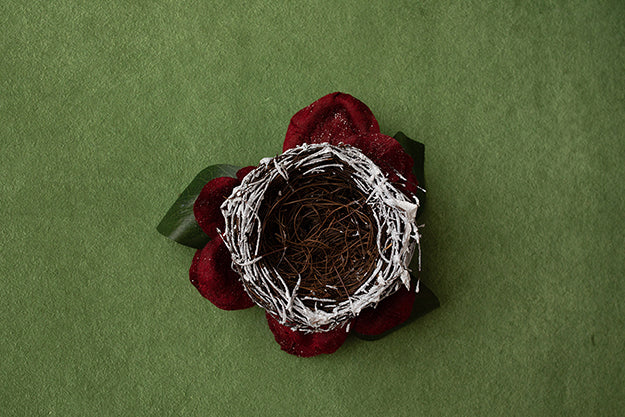 Winter Nest | Deck the Halls Coll. | Digital - HSD Photography Backdrops