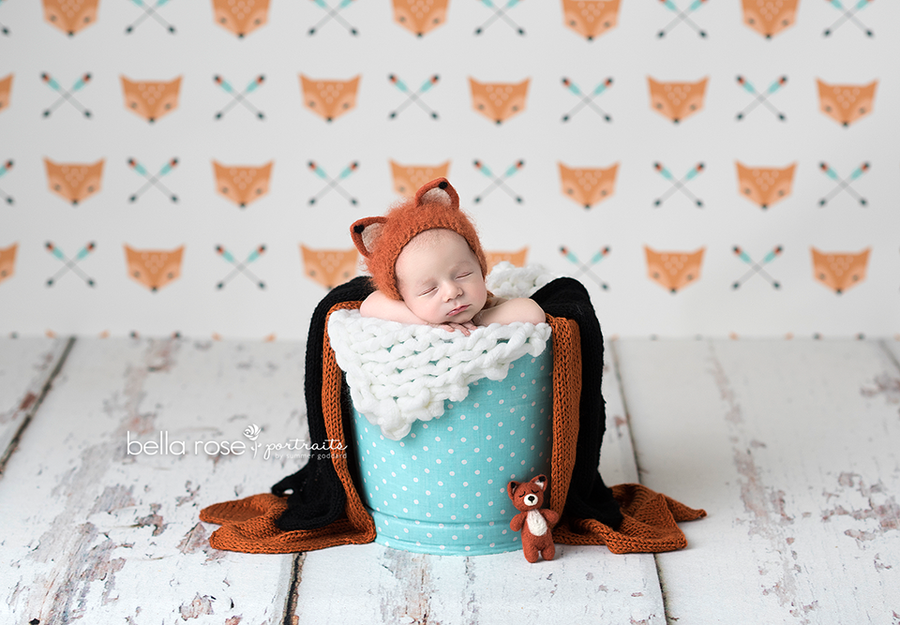 What Does the Fox Say? - HSD Photography Backdrops 