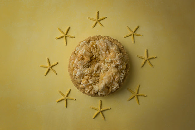 Yellow Starfish Collection | Digital - HSD Photography Backdrops