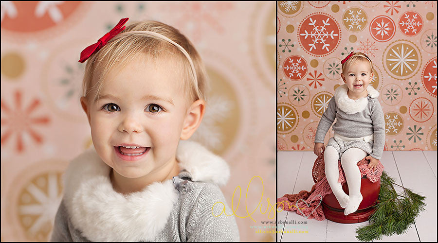 Spirit of Christmas - HSD Photography Backdrops