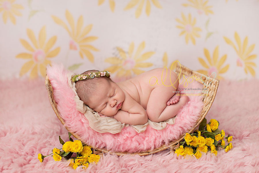 Daisy - HSD Photography Backdrops