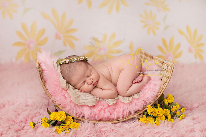 Daisy - HSD Photography Backdrops