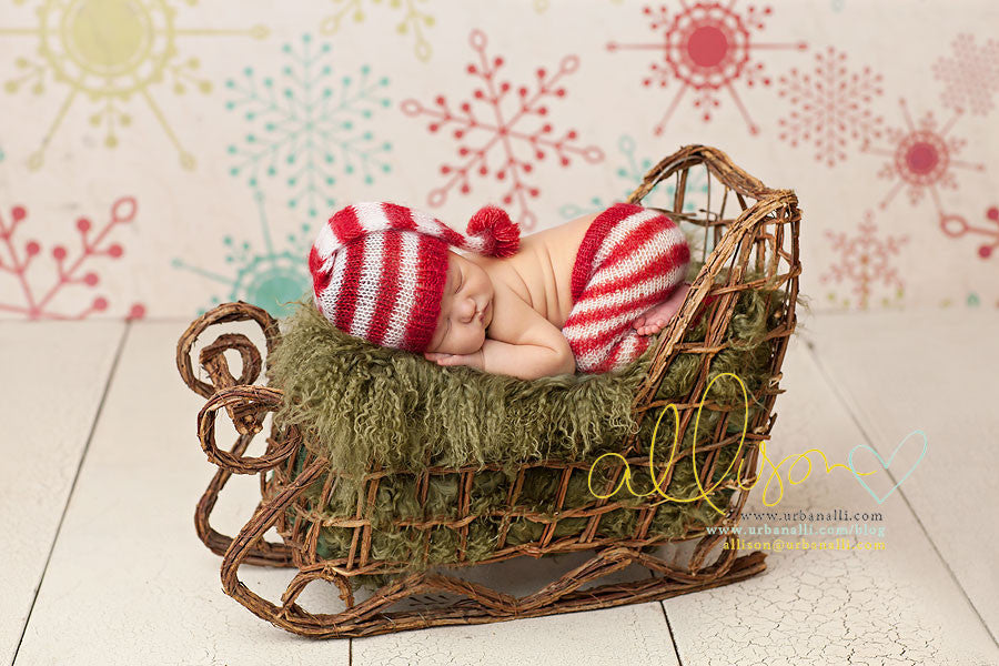 Merry & Bright - HSD Photography Backdrops