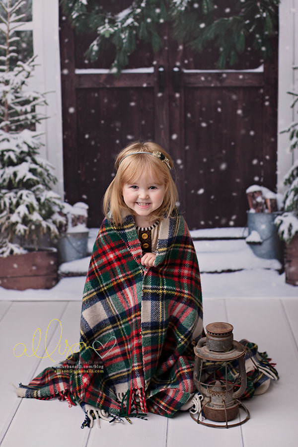 Christmas Barn Doors - HSD Photography Backdrops