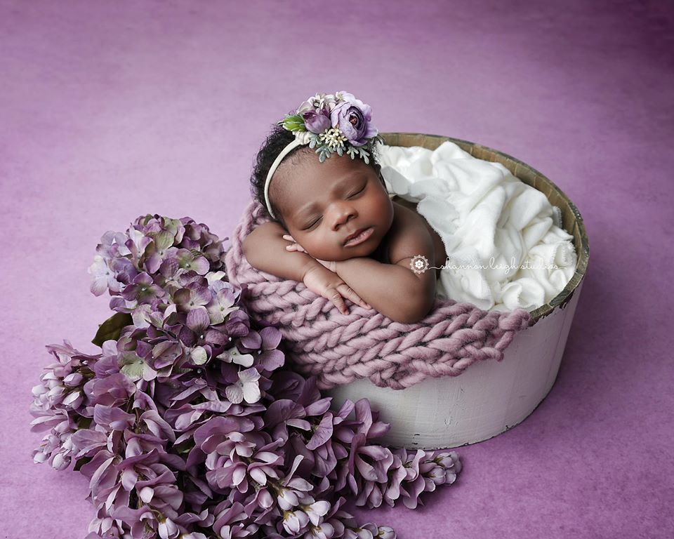 Plum Dandy - HSD Photography Backdrops
