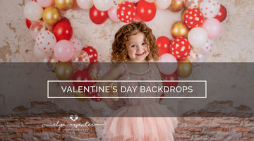 Valentine's Day Backdrops for Pictures