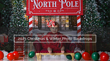 2023 Christmas and Winter Photo Backdrops