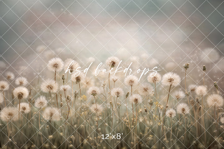 Dandelion Daydream – Soft Meadow Photography Backdrop