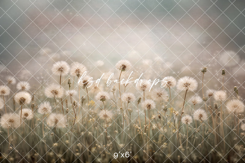 Dandelion Daydream – Soft Meadow Photography Backdrop